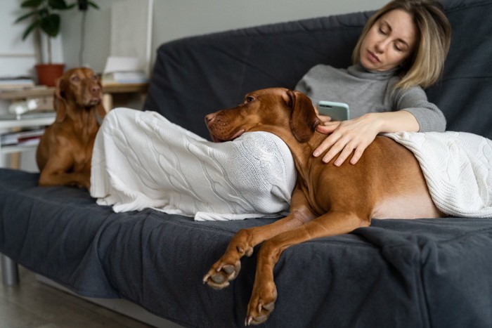 体調不良の女性の膝に顎を乗せる犬