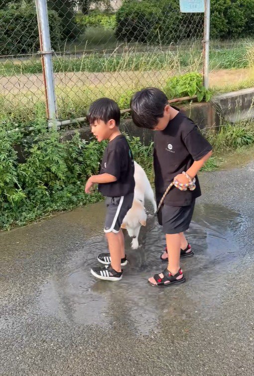 水たまりで遊ぶスズちゃんたち⑩