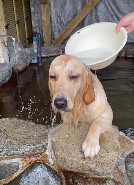 背中を流してあげると…