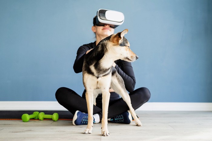 VRゴーグルを着けて犬を撫でる女性