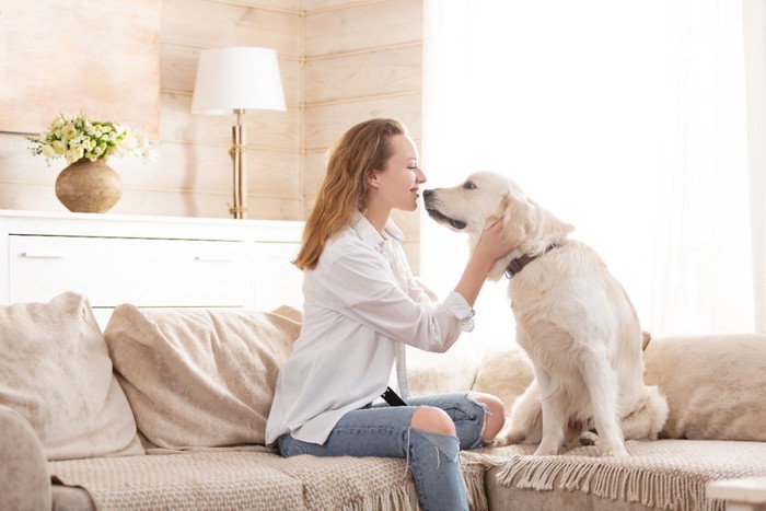 アイコンタクトを取りながら触れ合う女性と犬