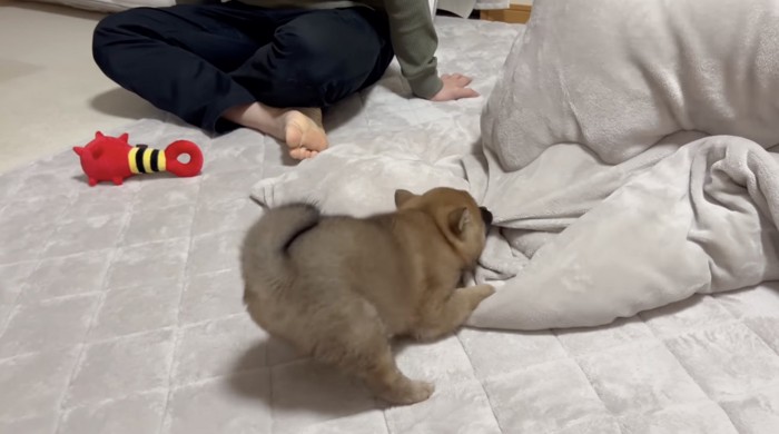 お転婆全開！