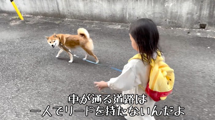 女の子をふり返る犬