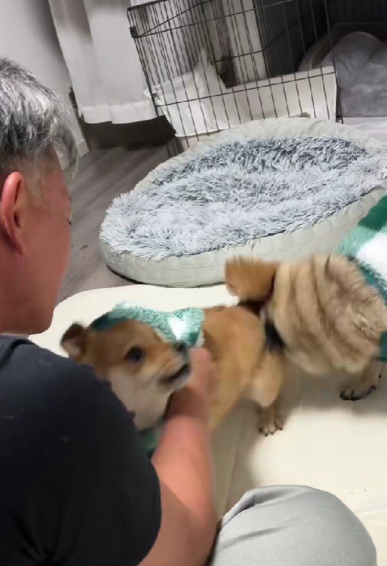 ピンポンが鳴った瞬間…