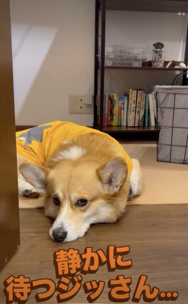 「そろそろ…？」