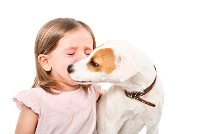 泣いている女の子を慰める犬