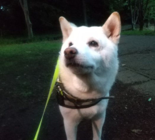 13年