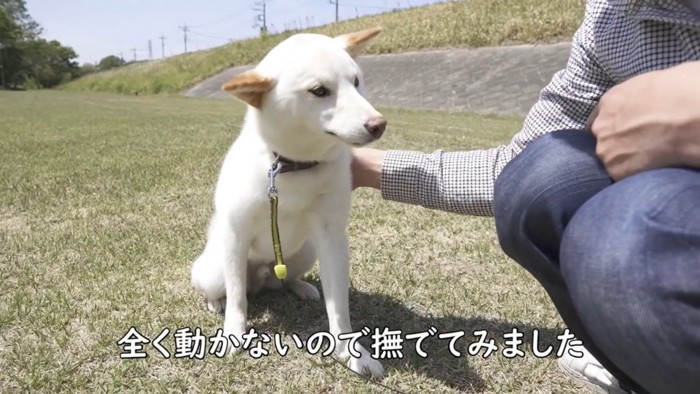 ナデナデしてみたら…