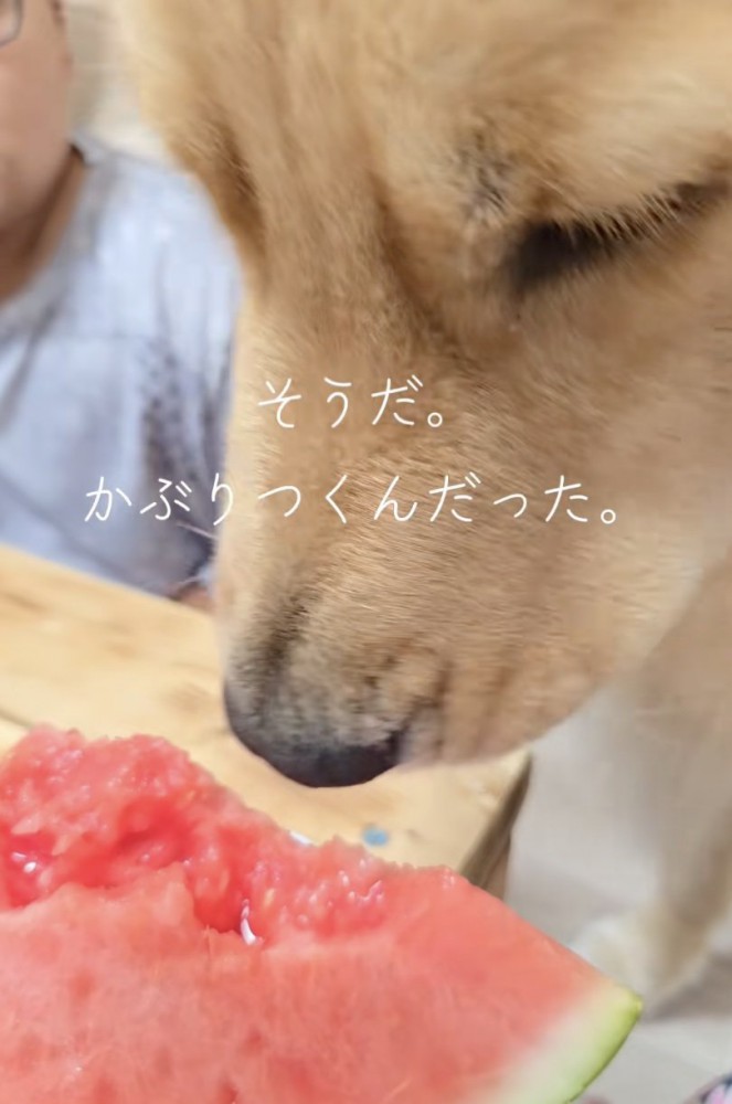 無事にスイカを大満喫