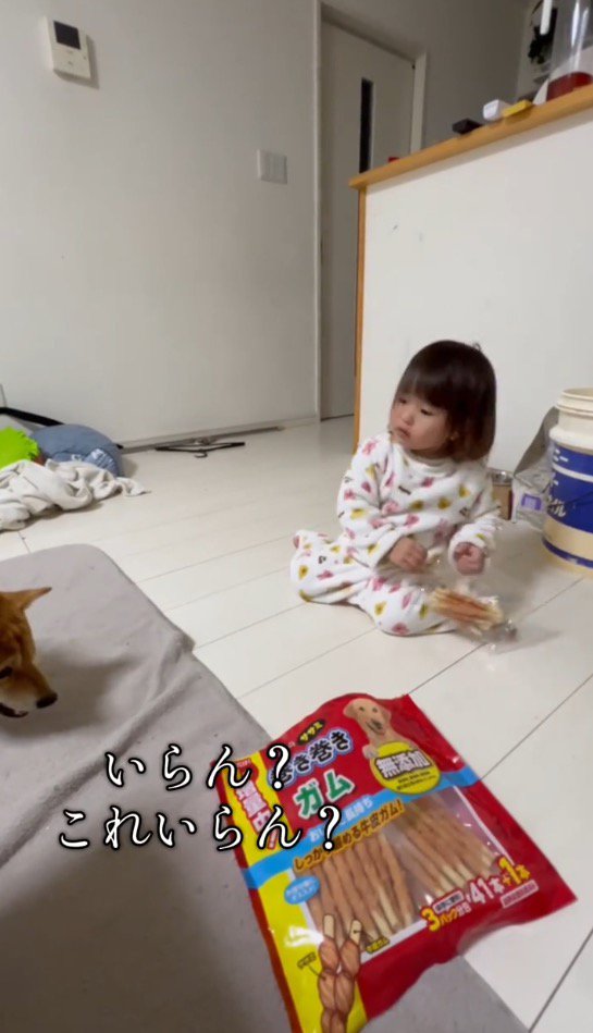 犬を見ながらおやつの袋を持つ女の子