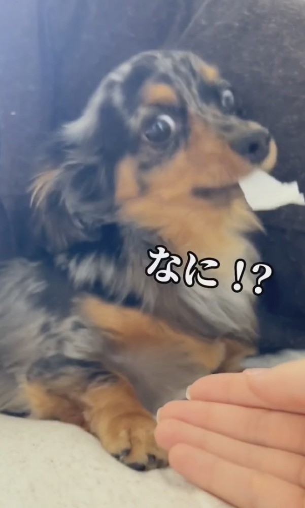 お怒り