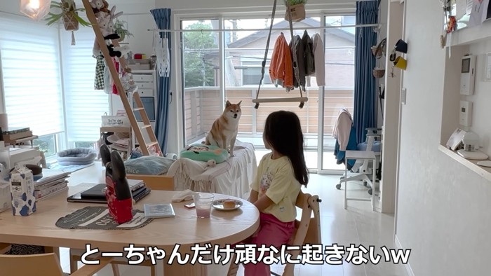 女の子を見守る花子ちゃん