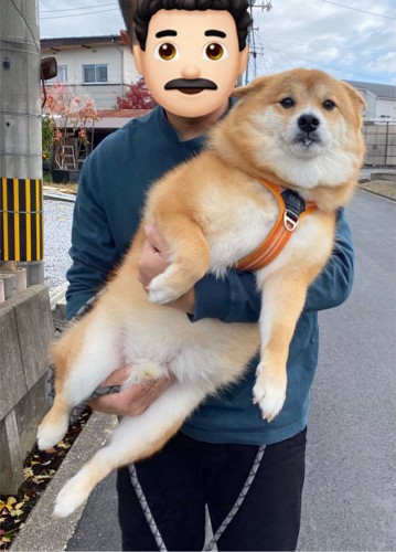 表情を見てみると…