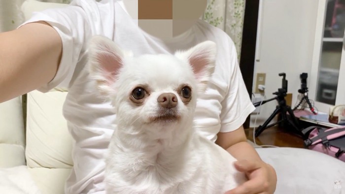 ママさんが先に寝ようとしたら…