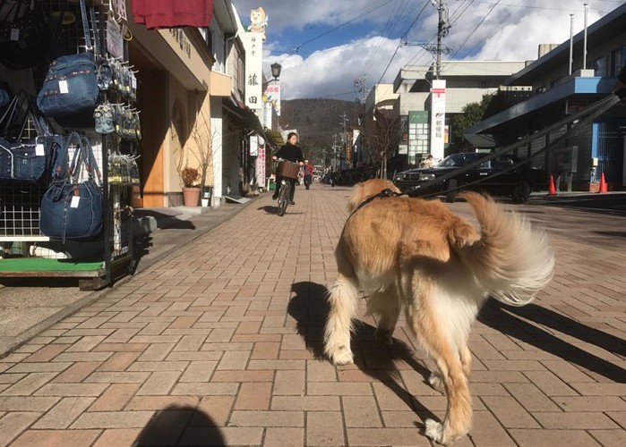 見晴台からの景色