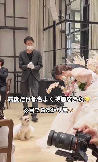 お辞儀をする新郎新婦の前でお座りする犬