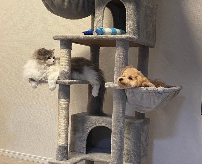 「まったく仕方ないなあ…」