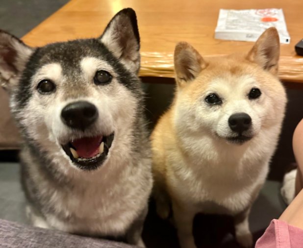 ハナちゃん
