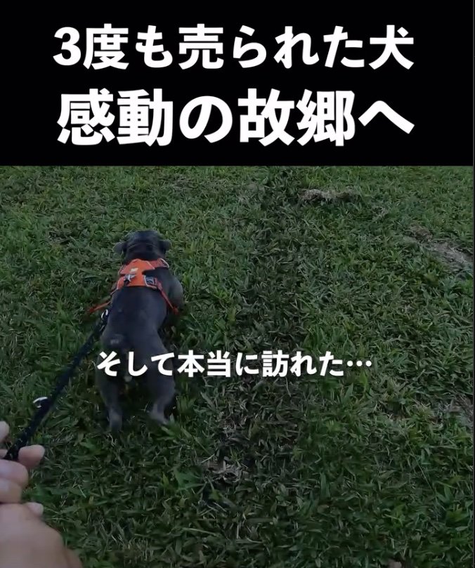 ついに…！！