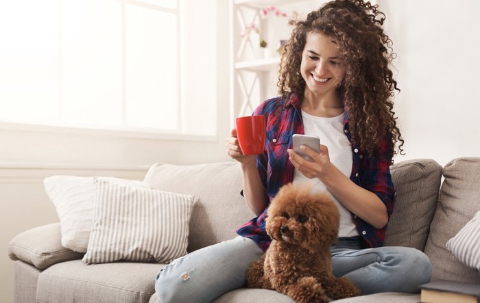 スマホを持つ女性と茶犬