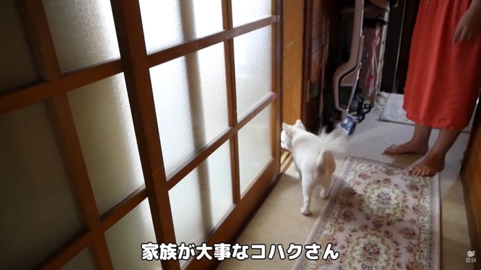 ドアを開けてあげたら中へ…