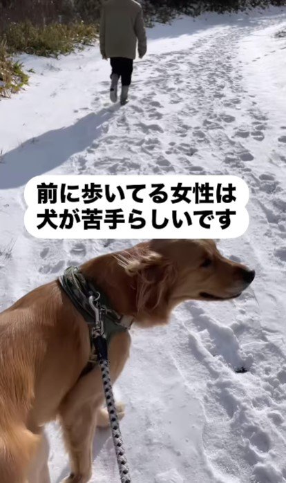 おばあちゃんが犬が苦手