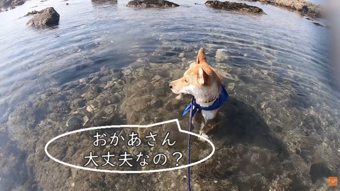 とにかくお母さんが気になる！