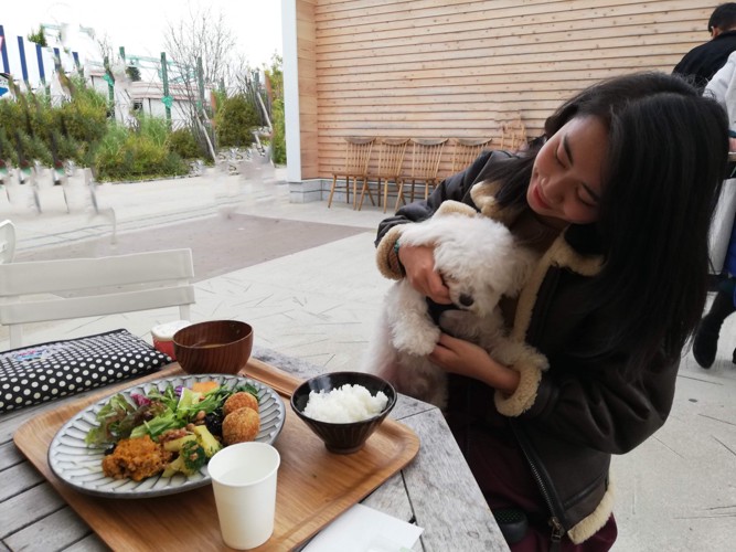 犬と人がご飯を食べている