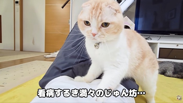 看病する気満々のじゅんちゃん
