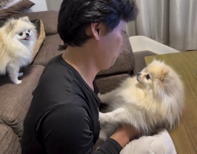 後ろにもう1匹写っている中、前足で拒否する犬