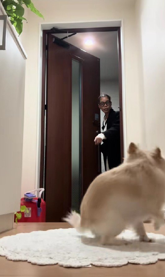 「もこちゃん、待って！」