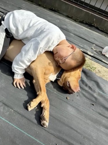 滲み出る信頼関係