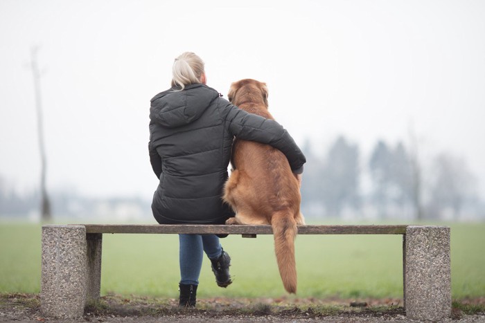 飼い主と並んで座る犬の後ろ姿