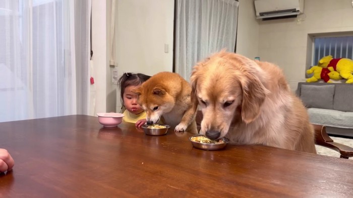 みんなでご飯の時間