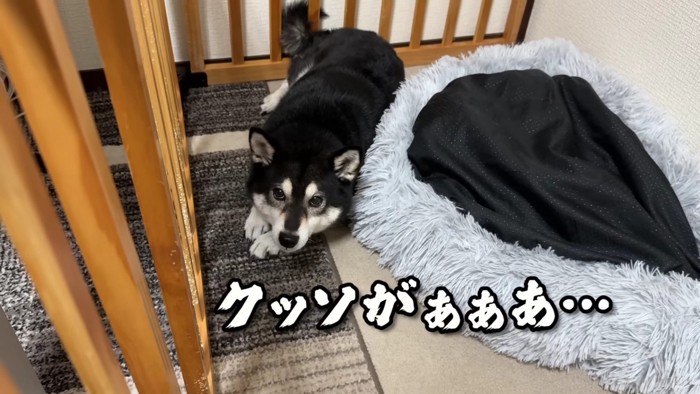 「クッソがあああ…」