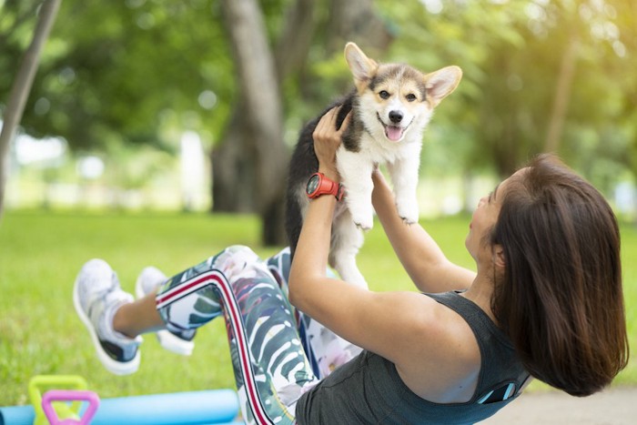 飼い主さんに高い高いしてもらう犬