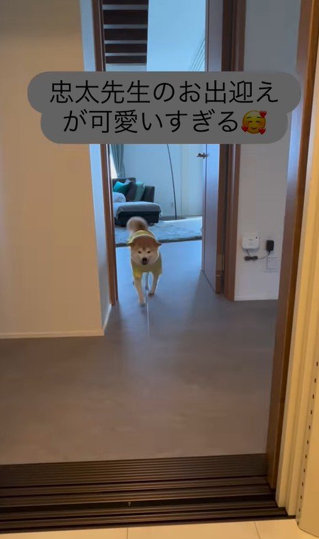 忠太くんの熱烈歓迎3