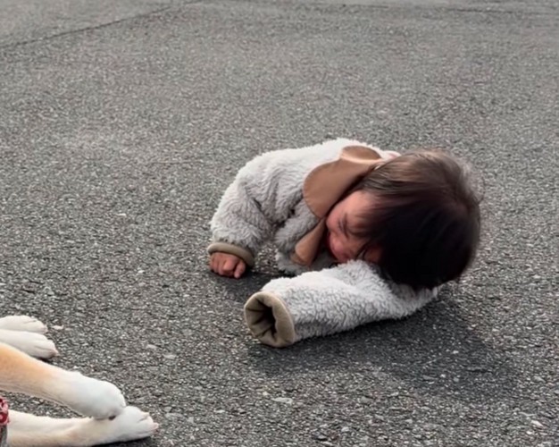 地面に這いつくばる女の子