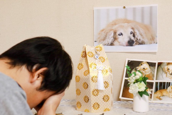 愛犬の写真を見て悲しむ男性