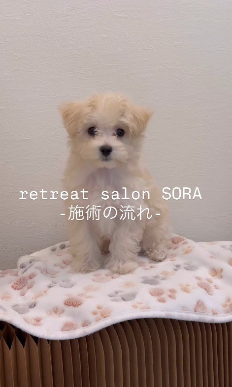 施術を体験するそらちゃん