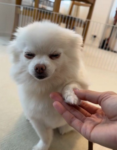 タッチ！！