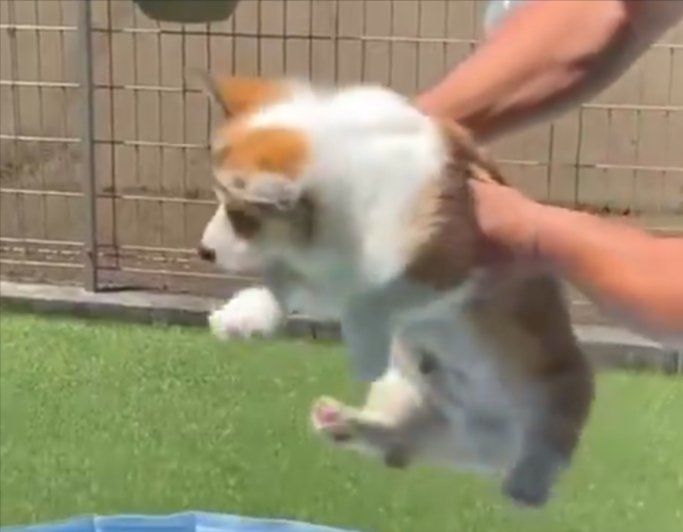 初めて