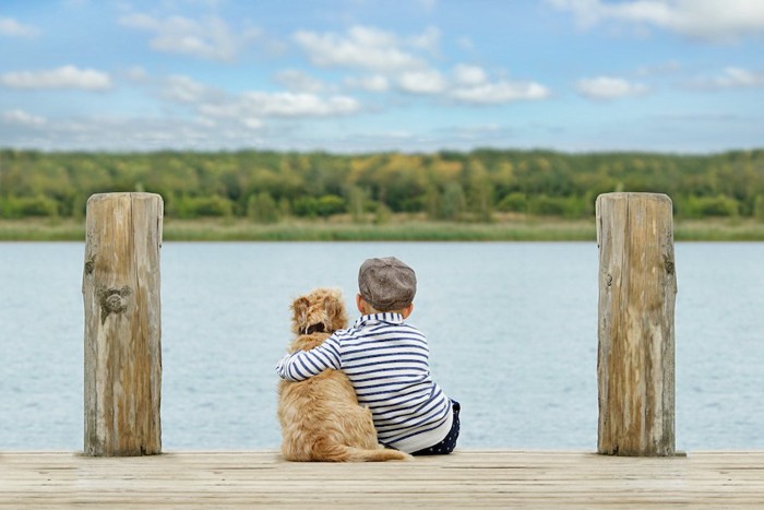 並んで座る仲良しな犬と子供の後ろ姿