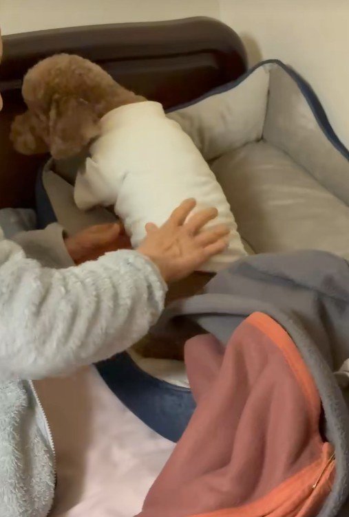 寝る前の茶々丸くんとおばあちゃん3