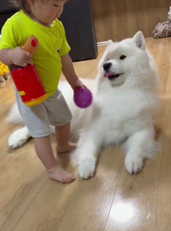 「今はいらない」