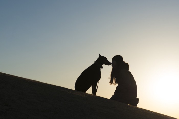 犬と飼い主のシルエット