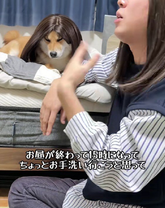 2人の温度差にクスッ