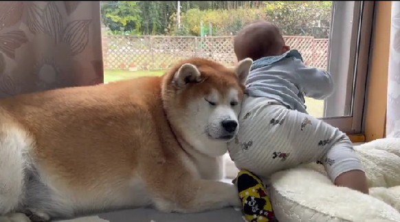 赤ちゃんにヒップアタック