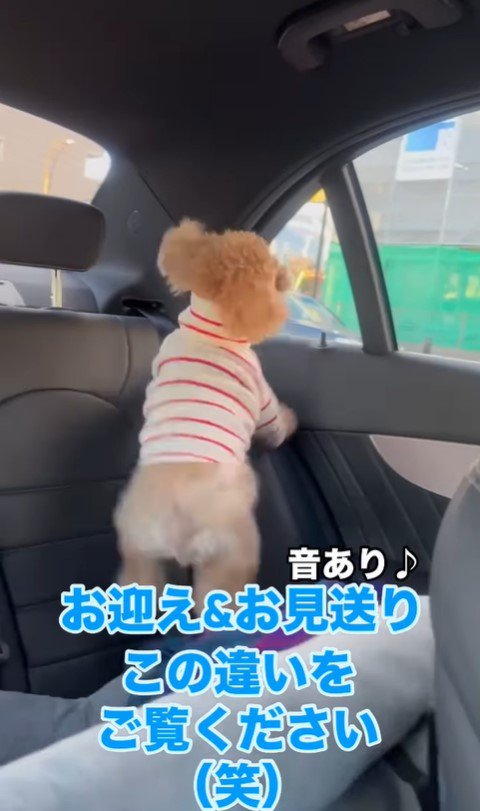 ノアくんのお迎え＆お見送り3