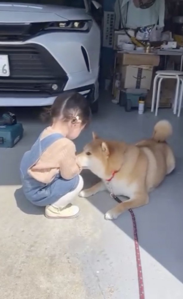 クンクン